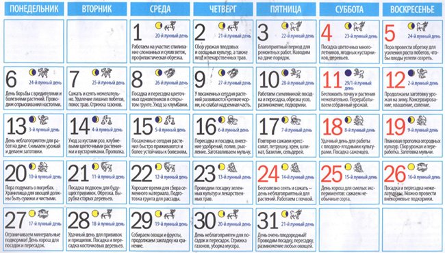 Лунный посевной календарь на август 2018 для огородников и цветоводов Средней полосы России и Подмосковья, таблицы