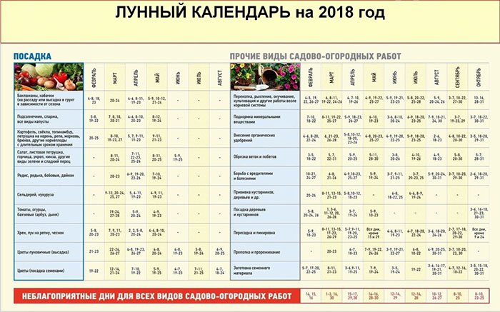 Лунный посевной календарь на август 2018 для огородников и цветоводов Средней полосы России и Подмосковья, таблицы