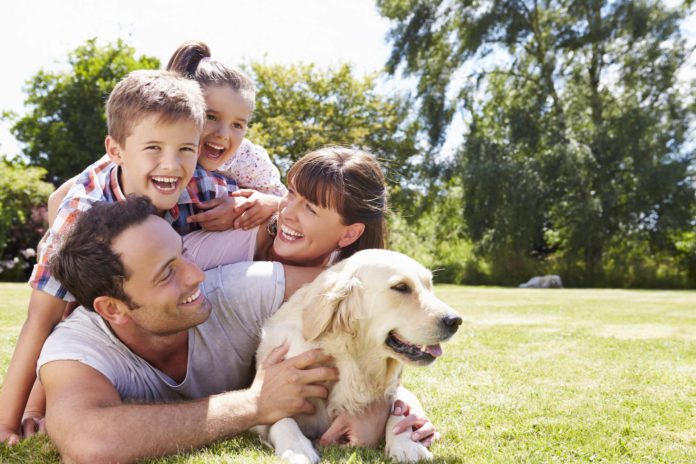Какие породы собак идеальны для семей с детьми