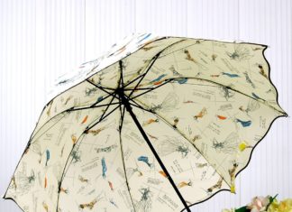 Как и где купить женские мини зонтики