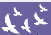 Простые рисунки для начинающих