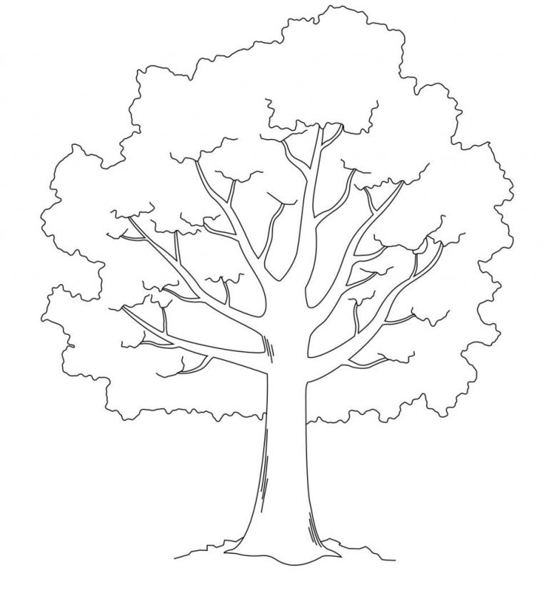 Дерево на ватмане нарисовать