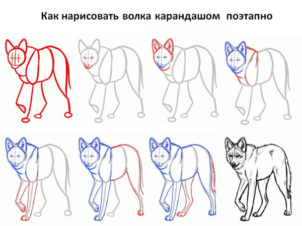 Нарисовать волка из ну погоди