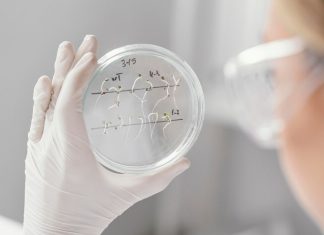 https://ru.freepik.com/free-photo/close-up-scientist-holding-petri-dish_13402872.htm#fromView=search&page=1&position=1&uuid=161eff48-182b-4259-bc7f-2b2fab15e275