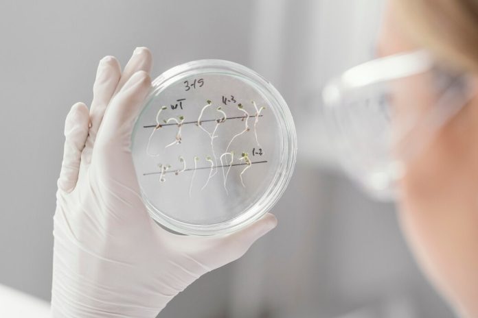 https://ru.freepik.com/free-photo/close-up-scientist-holding-petri-dish_13402872.htm#fromView=search&page=1&position=1&uuid=161eff48-182b-4259-bc7f-2b2fab15e275