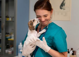 https://ru.freepik.com/free-photo/close-up-on-veterinarian-taking-care-of-dog_18395500.htm#fromView=search&page=1&position=2&uuid=a18dac1c-ec8c-45e3-8921-3a1d7ff06f41