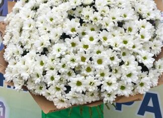 Как выбрать цветы для мамы?