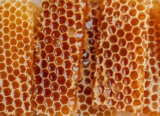 Чем гречишный мед лучше липового и акациевого