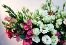 Какие цветы используются для букетов?