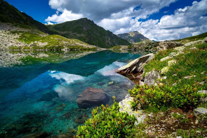 tild6431-3639-4762-b337-316632303636___1