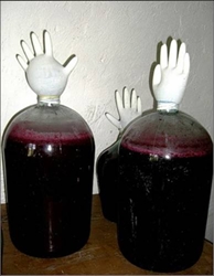 Как приготовить домашнее вино из черноплодной рябины в домашних условиях 