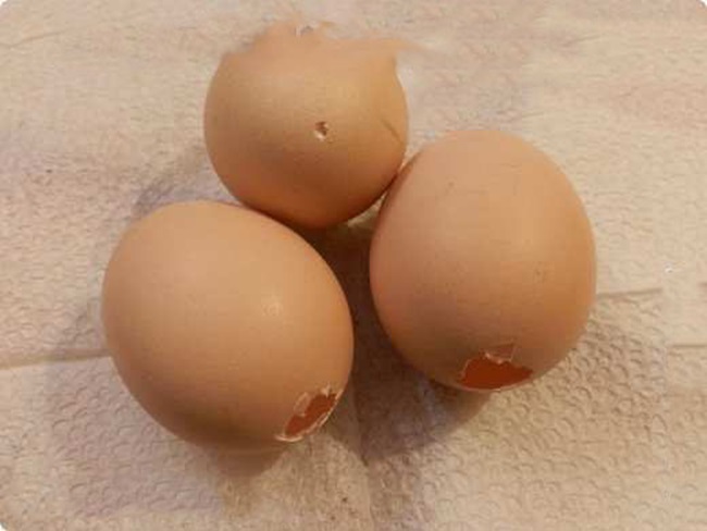 Поделки из яиц своими руками к Пасхе, а также из яичной скорлупы, лотков и Киндерсюрприза