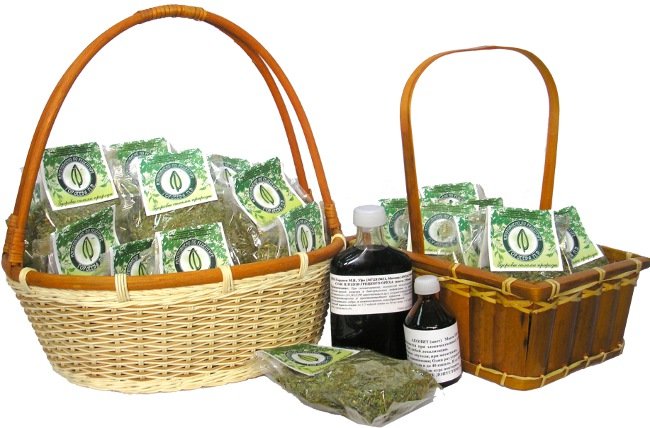 Лечебные свойства осины Лечебные свойства осины